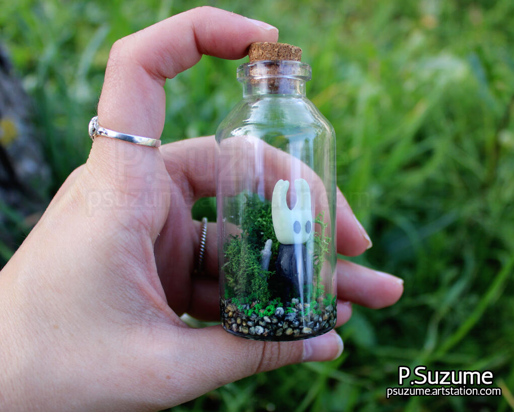 Hollow Knight - Knight in a Bottle