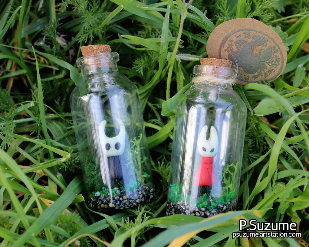 Hollow Knight- Hornet and the Knight in a bottle